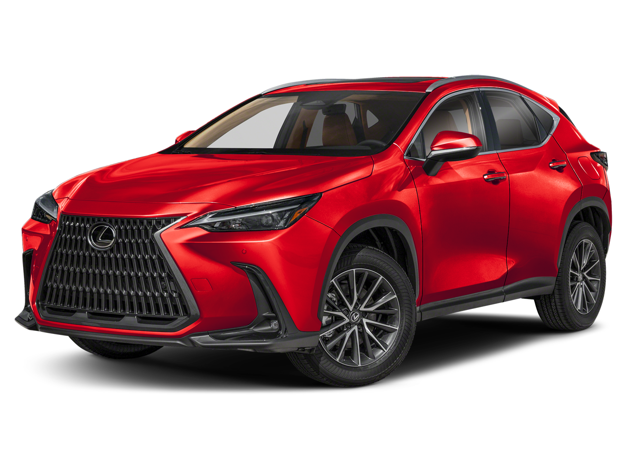 2025 Lexus NX 350 350 Premium AWD's photo