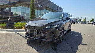 2024 Lexus RX 