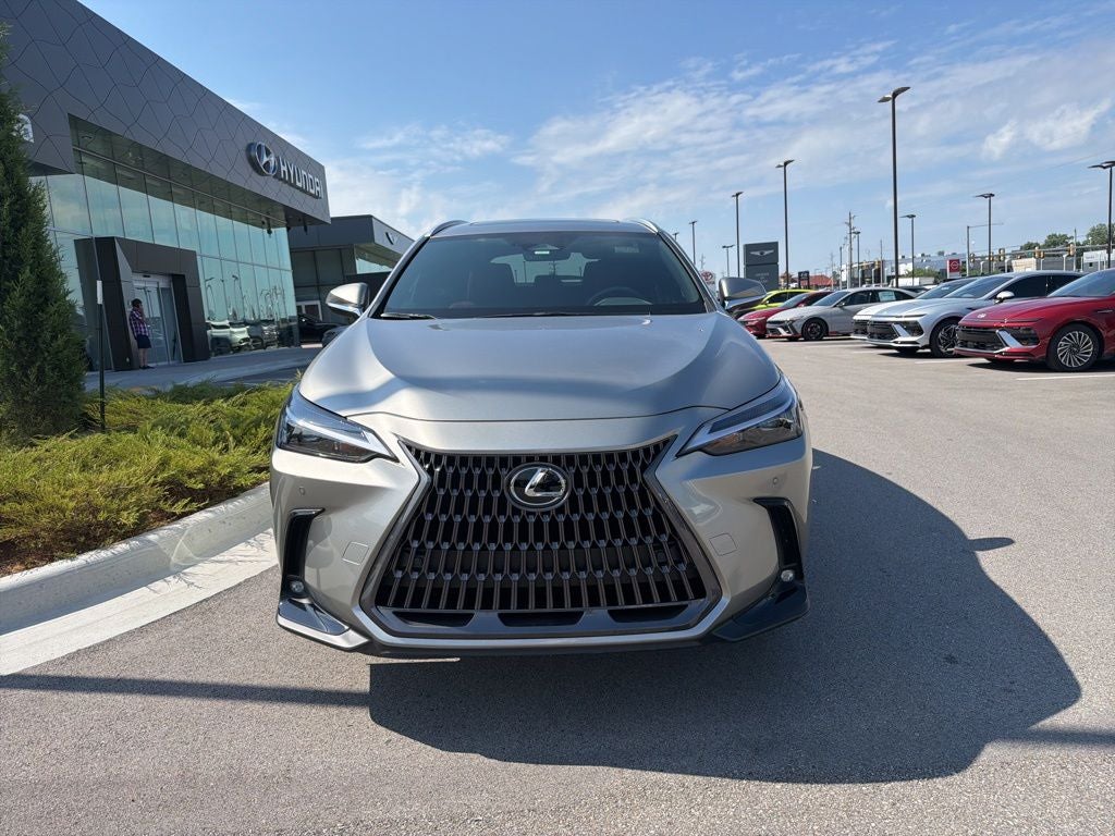 2025 Lexus NX 350 Premium