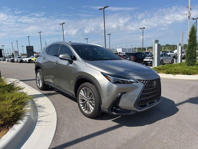 2025 Lexus NX 350 Premium